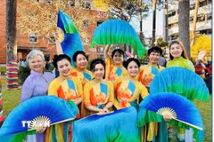 Một hoạt động của cộng đồng người Việt tại Australia. (Ảnh: TTXVN phát)