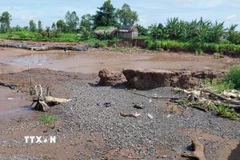 Ảnh minh họa. (Ảnh: TTXVN phát)