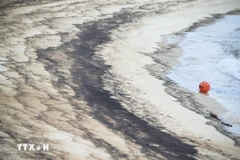 Dầu tràn trên bãi biển. (Ảnh minh họa: THX/TTXVN)