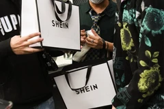 Ảnh minh họa. (Nguồn: textiletoday)