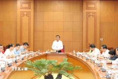 Đồng chí Trần Cẩm Tú phát biểu chỉ đạo. (Ảnh: Phương Hoa/TTXVN) 