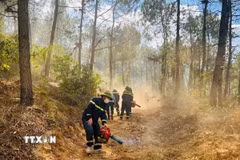 Lực lượng chức năng và nhân dân trên địa bàn tiếp cận hiện trường phối hợp triển khai các biện pháp dập lửa khẩn cấp. (Ảnh: Hoa Mai/TTXVN)