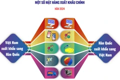 Thương mại Việt Nam-Hàn Quốc: Tăng trưởng vượt bậc từ năm 1992 đến nay