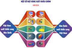 Thương mại Việt Nam-Hàn Quốc: Tăng trưởng vượt bậc từ năm 1992 đến nay