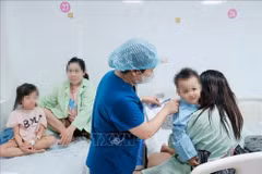 Thành phố Hồ Chí Minh: Cảnh báo bệnh tay chân miệng bắt đầu gia tăng​
