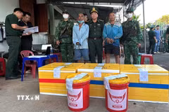 2 đối tượng Nguyễn Lệnh và Nguyễn Hữu Nhân là cha con, cùng trú tại xã Tịnh Khê, tỉnh Quảng Ngãi. (Ảnh: TTXVN phát)