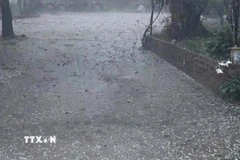 Ảnh minh họa. (Ảnh: TTXVN phát)