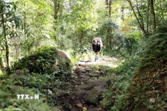 Trải qua thời gian và chiến tranh, hiện nay con đường này còn khoảng 17km. (Ảnh: Quý Trung/TTXVN)