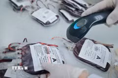 (Ảnh minh họa. Nguồn: TTXVN)