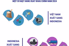 Quan hệ kinh tế, thương mại Việt Nam-Indonesia