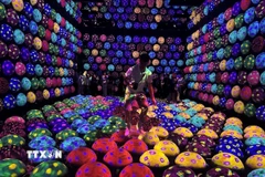 Một không gian vận động cơ thể khác khi khách tham quan di chuyển bằng cách nhảy liên tiếp trên những quả cầu cùng màu cho đến cuối đường. (Ảnh: Nguyễn Tuyến/TTXVN) 