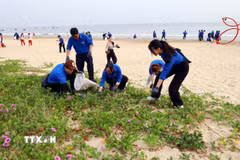 Tuổi trẻ Đà Nẵng ra quân dọn vệ sinh môi trường biển tại Ngày hội. (Ảnh: Trần Lê Lâm/TTXVN)