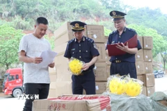 Lực lượng Hải quan cửa khẩu Cốc Nam (Lạng Sơn) tra soát mã, chủng loại hàng nhập khẩu qua cửa khẩu. Ảnh: (Quang Duy /TTXVN)