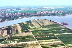 Vùng sản xuất nông nghiệp thuộc Hưng Yên. (Ảnh: Đinh Văn Nhiều/TTXVN)