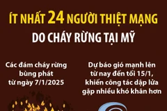 Ít nhất 24 người thiệt mạng do cháy rừng tại Mỹ