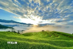 Ngắm nhìn ruộng bậc thang Thông Nguyên - Bức tranh hùng vĩ và nên thơ