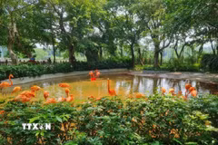 Công viên đất ngập nước Tinh Hồ - Trung tâm bảo tồn chim quý hiếm ở Trung Quốc