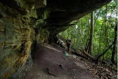 Nhà khảo cổ học Richard Oslisly dẫn đầu một cuộc khai quật tại Hang Youmbidi ở miền đông Gabon, nơi phát hiện ra dấu tích của người tiền sử. (Ảnh: phys)