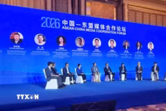 Đại diện Việt Nam và các nước chia sẻ kinh nghiệm thực tiễn về hợp tác truyền thông và nội dung số. (Ảnh: Quang Hưng/TTXVN)