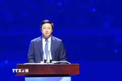 Thứ trưởng Bộ Tài chính Nguyễn Đức Tâm phát biểu. (Ảnh: Tuấn Anh/TTXVN)