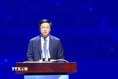 Thứ trưởng Bộ Tài chính Nguyễn Đức Tâm phát biểu. (Ảnh: Tuấn Anh/TTXVN)