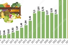 Rau quả Việt tăng tốc, tiến tới mục tiêu xuất khẩu 10 tỷ USD