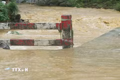 Ảnh minh họa. (Ảnh: Hương Thu/TTXVN)
