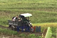 Đắk Lắk: Mệnh lệnh “thần tốc Quang Trung” từ trái tim người lính