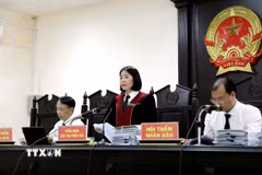 Thẩm phán Đỗ Thị Hà, Chủ tọa phiên tòa. (Ảnh: Thế Duyệt/TTXVN)