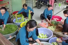 Bệnh viên Đa khoa Bình Phước: Suất cơm yêu thương trao gửi đến bệnh nhân nghèo