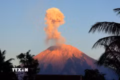 (Tư liệu) Tro bụi phun lên từ núi lửa Semeru, nhìn từ Lumajang, Đông Java, Indonesia. (Ảnh: THX/TTXVN)
