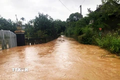 Nhiều tuyến đường thôn ở xã Ái Tử bị ngập sâu. (Ảnh: Tường Vi/TTXVN)