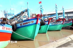 Thành phố Cần Thơ có đội tàu khai thác biển lớn, việc tuyên truyền IUU là cần thiết. (Ảnh: Trung Hiếu/TTXVN) 