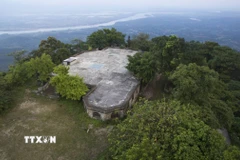 Vườn Quốc gia Ba Vì. (Ảnh: TTXVN phát)