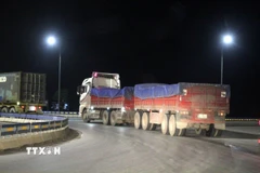 Ảnh minh họa. (Nguồn: TTXVN) 