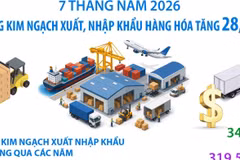 7 tháng năm 2026: Tổng kim ngạch xuất, nhập khẩu hàng hóa tăng 28,1%