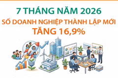 7 tháng năm 2026: Số doanh nghiệp thành lập mới tăng 16,9%