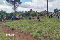 Một số người dân cản trở thu hồi đất để khai thác quặng bô xít dù diện tích này của Nhà nước, bị các hộ trên lấn chiếm trái phép. (Ảnh TTXVN phát)