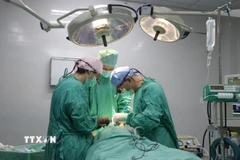 Các bác sỹ Bệnh viện Trung ương Huế và Đoàn phẫu thuật thiện nguyện Interplast phẫu thuật miễn phí cho các bệnh nhi có dị tật khe hở môi, vòm miệng. (Ảnh: Mai Trang/TTXVN)
