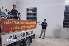 Lực lượng chức năng tỉnh Ninh Bình kiên quyết đấu tranh với tình trạng khai thác, vận chuyển cây Muội hồng trên địa bàn. (Ảnh: TTXVN phát)