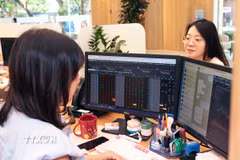Khách hàng giao dịch tại Công ty Chứng khoán Bảo Việt. Ảnh: Trần Việt - TTXVN