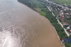Thông tin “Vỡ đê hữu Thao ở Phú Thọ” là không chính xác