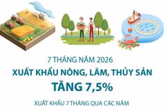 7 tháng của năm 2026, xuất khẩu nông, lâm, thủy sản tăng 7,5%