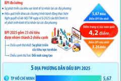 Kết quả Chỉ số Hiệu quả Kinh tế tư nhân năm 2025 của 34 địa phương