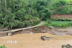 Ảnh minh họa. (Ảnh: Vũ Hoàng Giang/TTXVN)