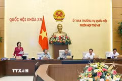 Phó Chủ tịch Quốc hội Nguyễn Thị Thanh phát biểu. (Ảnh: Doãn Tấn/TTXVN) 