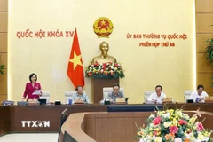 Phó Chủ tịch Quốc hội Nguyễn Thị Thanh phát biểu. (Ảnh: Doãn Tấn/TTXVN) 
