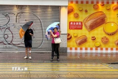Hiện, Cơ quan khí tượng thủy văn Hong Kong hạ mức cảnh báo bão Wipha từ cấp 10 xuống cấp 8. (Ảnh: Mạc Luyện/TTXVN)