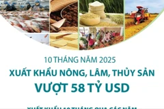 10 tháng năm 2025: Xuất khẩu nông, lâm, thủy sản vượt 58 tỷ USD