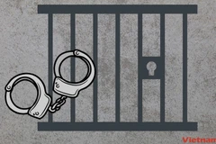 Ảnh minh họa. (Nguồn: Vietnam+)